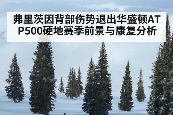 弗里茨因背部伤势退出华盛顿ATP500硬地赛季前景与康复分析